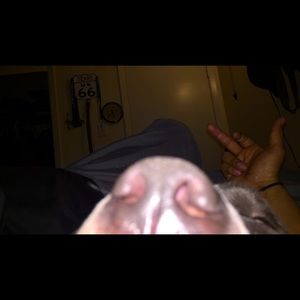 Meet your Posher, Joe